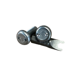 Tamper Resistant Screws
